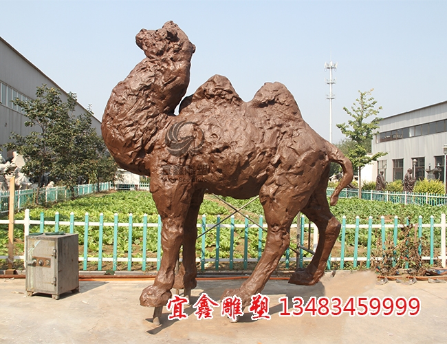 铜雕骆驼